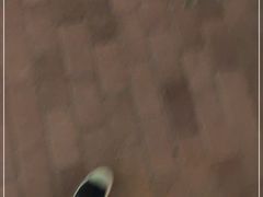 -水秀国际大剧院