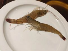 -长沙芙蓉国温德姆至尊豪廷大酒店 - 自助餐厅