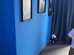 -浣熊部落ps4 ps5 switch 电玩(茶店子店)
