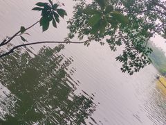 -海珠湖公园