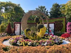 -上海共青森林公园