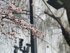 -什刹海