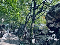 -宝岩生态观光园