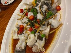 藤麻笋壳鱼-顺德了能馆(虎门店)