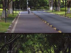 -五缘湾湿地公园
