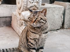 -正阳书局(西四南大街店)
