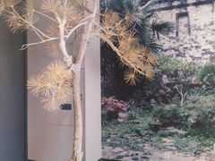 -南京书画院金陵美术馆