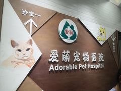 -美联众合宠物医院·爱萌分院·内外科·猫科中心