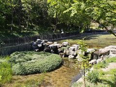 -白水寺森林公园