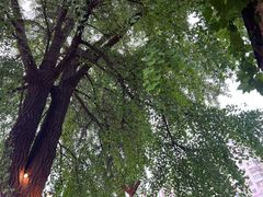 -秘密小花园(第三中学店)