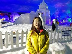 -世界之窗阿尔卑斯冰雪世界