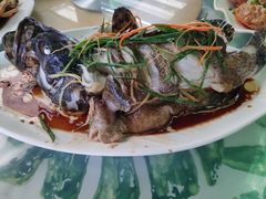 -四姑娘川味海鲜(八爪鱼店)