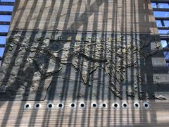 -西安大唐西市博物馆