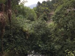 -龙窝子
