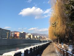 鸭绿江边-江心岛