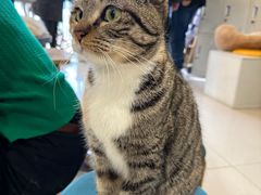 -平行世界·猫咖(首经贸店)