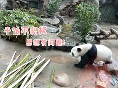 -北京动物园