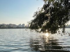 -鹤之洲湿地公园