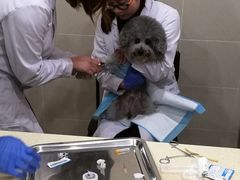 -艾贝尔宠物医院·24H转诊中心·肿瘤猫专科(江宁双龙店)