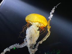 -欢乐海岸海洋奇梦馆
