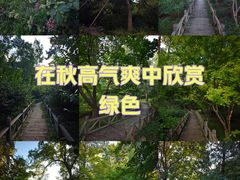 -香山公园