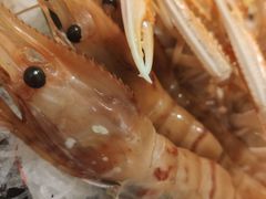 -山之川日料放题(通州店)