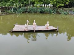 -宁波杭州湾国家湿地公园