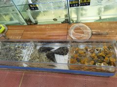 -海之鲜大排档(东山海鲜金銮湾店)