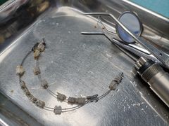 -上海崇美口腔门诊