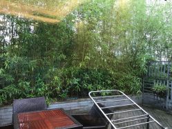 -金芙美月子中心(财富别墅店)