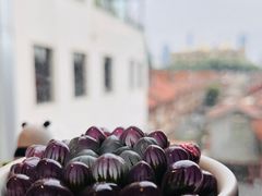 -滇野云南野生菌餐厅(陕西南路店)