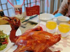 红烧乳鸽-大鸽饭(北京路店)