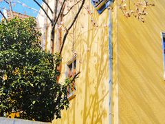 -颐和路民国时期公馆风貌区