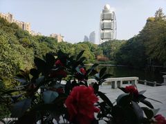 -深圳国际园林花卉博览园