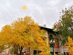 -天津五大道文化旅游区