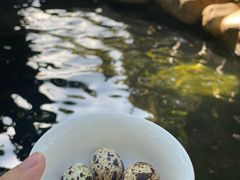 -清远熹乐谷温泉度假酒店