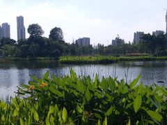 -映月湖公园
