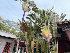-珠海圆明新园