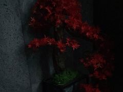 -39°·叁十九度·浴足SPA(龙湖滨江天街总店)