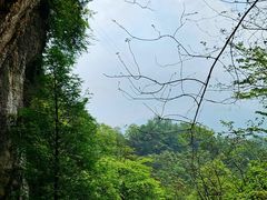 -青城山