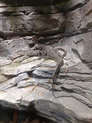 -Zoolung Zoolung动物主题公园(海信广场店)