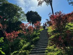 -广州市帽峰山景区