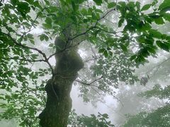 -终南山南五台景区