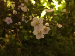 -吉庆街美食广场