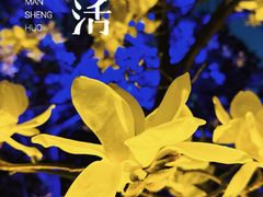 -秀·爱尔兰餐吧(上海路店)