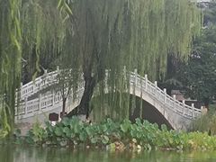 -西安市长乐公园