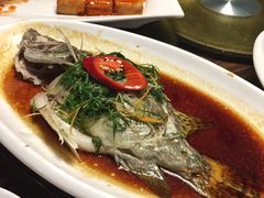 -优之名鹅城