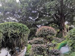 -乌山风景区
