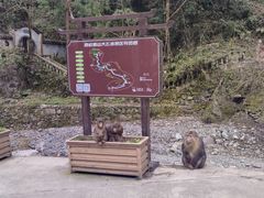 -西岭雪山大飞水景区