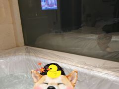 -北京园博大酒店